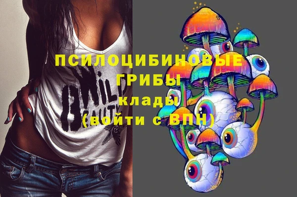трава Карпинск