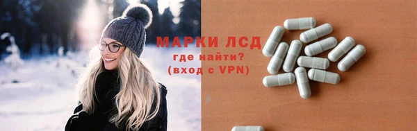 трава Карпинск