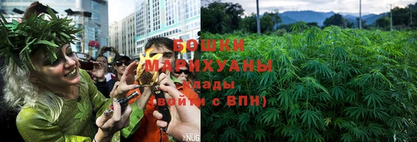 трава Карпинск