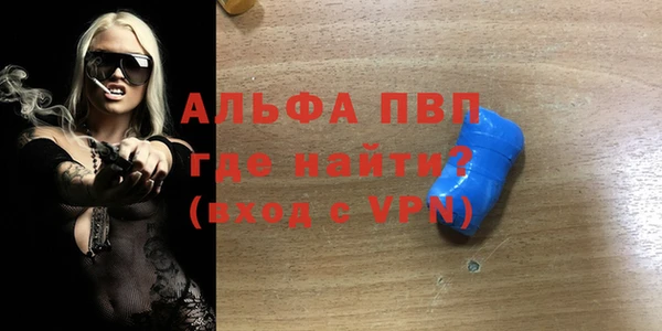 трава Карпинск