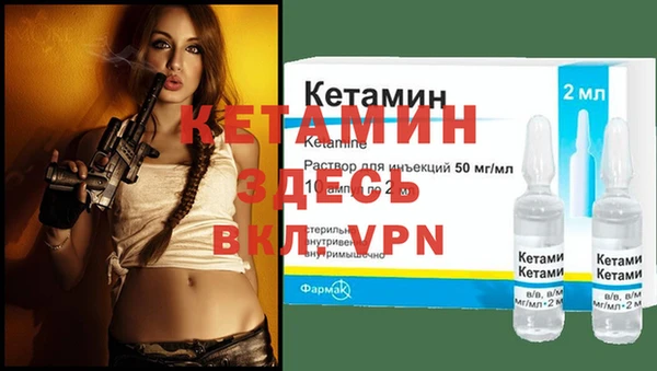 трава Карпинск